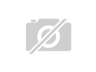 Nixie-Röhren gesucht